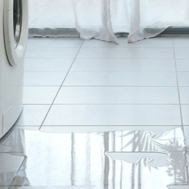 Appliance Leak Cleanup in Yalaha, FL
