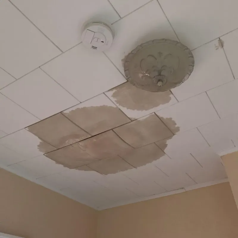 Ceiling Water Damage Repair in Yalaha, FL